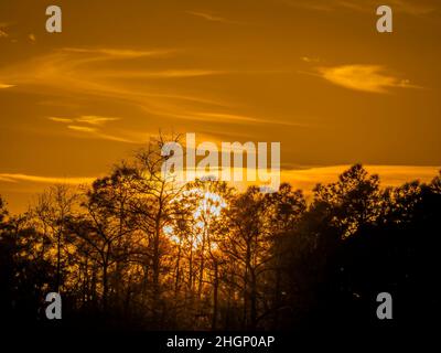 Tramonto all'area del Kirby Shorter Roadside Park della Big Cypress National Preserve in Florida USA Foto Stock