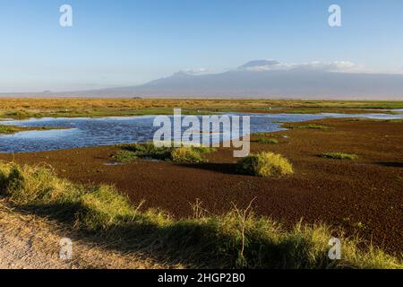 KENYA - 16 AGOSTO 2018: Monte Kilimanjaro nel Parco Nazionale di Amboseli Foto Stock