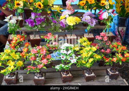 I giardini verticali o spesso definiti come muri verdi, muri vivi, biowall o ecowall sono un metodo di coltivazione di colture che utilizzano terreni stretti e limitati. Foto Stock