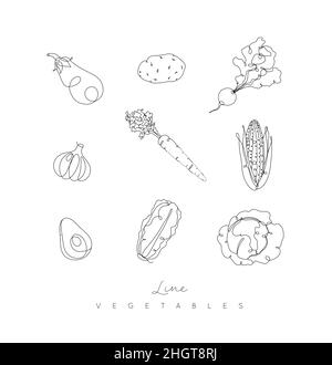 Vegetali icone melanzane, patate, ravanello, aglio, carota, mais, avocado, cavolo in penna disegno a mano linee stile su sfondo bianco Illustrazione Vettoriale