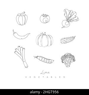 Vegetables icons pepper, tomato, beet, chili, pumpkin, cucumber, leek, peas, broccoli in pen hand drawing lines style on white background Stock Vector