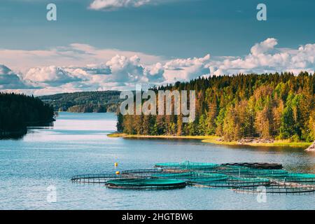 Pesca, Fish Farm in Summer Lake o River in bella estate Sunny Day. Natura svedese, Svezia. Pesca, Fish Farm in Summer Lake o River in Foto Stock