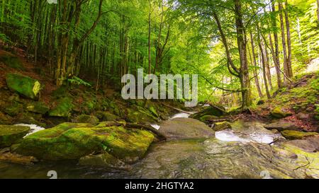fiume foresta in primavera. l'acqua scorre tra le rocce fossy. sfondo naturale rinfrescante. bellissimo paesaggio in una giornata di sole Foto Stock