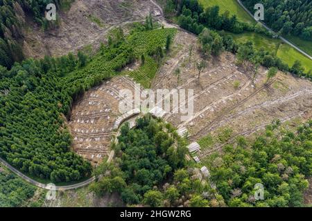 Fotografia aerea, zona forestale di Hünkesohl con danni alla foresta nei pressi di Wormberg, Drolshagen, Sauerland, Renania settentrionale-Vestfalia, Germania, albero morte, abbaia essere Foto Stock