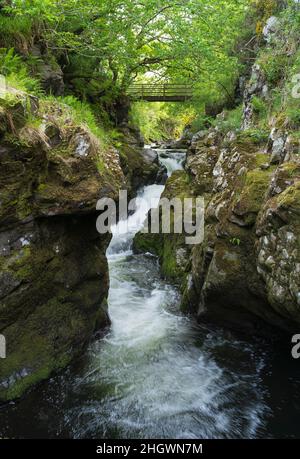 Hethpool, vicino Wooler, Northumberland - College Valley, colline pedemontane di Cheviot. Cascate di Hethpool Linn nel College Burn. Foto Stock