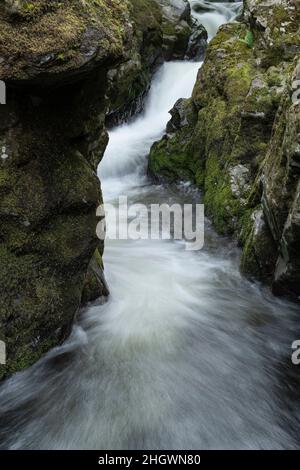 Hethpool, vicino Wooler, Northumberland - College Valley, colline pedemontane di Cheviot. Cascate di Hethpool Linn nel College Burn. Foto Stock