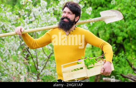 Lavoro in giardino. Uomo sorridente che si prepara a piantare. Molla. Coltivatore bearded con pala di giardinaggio. Foto Stock