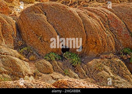 Casper The friendly Rock! Una interessante formazione rocciosa alle colline di Alabama, appena ad ovest di Lone Pine, California. Casper il fantasma amichevole! Foto Stock