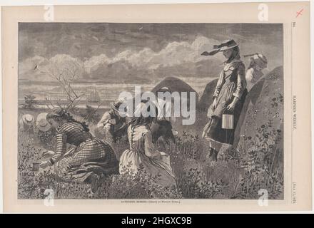 Gathering Berries (da 'Harper's Weekly', Vol.XVIII) 11 luglio 1874 dopo Winslow Homer American nel 1857 Winslow Homer iniziò la sua carriera di diciotto anni lavorando come illustratore per Harper's Weekly, che ha lanciato a New York nello stesso anno. La pubblicazione è stata uno degli esempi più riusciti di un settimanale illustrato, un tipo di rivista dominata da immagini piuttosto che da testo. I settimanali potrebbero essere stampati rapidamente, a buon mercato, e in grandi quantità grazie ai recenti progressi nella tecnologia dell'incisione del legno, in cui un'immagine è stata tradotta su un blocco di legno e poi colata elettroliticamente da una cera m Foto Stock