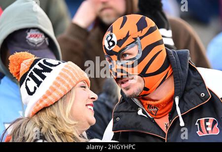 Nashville, Stati Uniti. 22nd Jan 2022. I tifosi dei Cincinnati Bengals assistono nella prima metà di una partita di playoff della divisione NFL contro i Tennessee Titans al Nissan Stadium di Nashville, Tennessee, sabato 22 gennaio 2022. Foto di David Tulis/UPI Credit: UPI/Alamy Live News Foto Stock