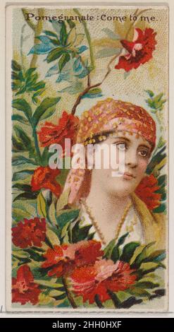 Melograno: Vieni a Me, dalla serie Floral Beauties and Language of Flowers (N75) per le sigarette Duke brand 1892 emesse dal ramo Duke Cigarette della American Tobacco Company carte commerciali della serie 'Floral Beauties and Language of Flowers' (N75), Rilasciato in un set di 50 carte nel 1892 per promuovere il ramo W. Duke Sons & Co. Della American Tobacco Company.. Melograno: Vieni a Me, dalla serie Floral Beauties and Language of Flowers (N75) per le sigarette Duke brand. 1892. Litografia commerciale a colori. Rilasciato dalla filiale Duke Cigarette della American Tobacco Company Foto Stock