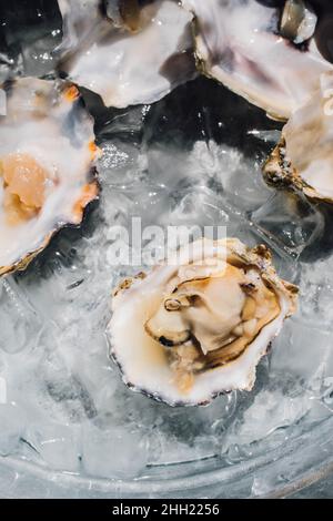 oyster conchiglie su ghiaccio al ristorante all'aperto al sole Foto Stock