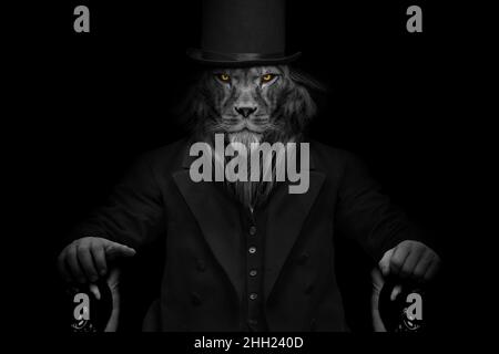 Uomo in forma di Leone , la persona leone , faccia animale isolato bianco nero Foto Stock