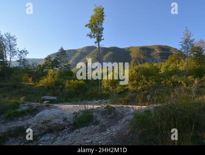 Grande scenario naturale nelle Alpi slovene. Incredibile paesaggio autunnale sul lago Jasna. Parco nazionale del Triglav. Kranjska Gora, Slovenia. Paesaggio incredibile w Foto Stock