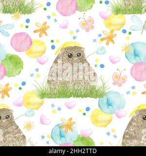 Set di design con adorabile animale kawaii woodchuck, erba e farfalla isolato su bianco, acquerello illustrazione per felice Groundhog giorno biglietto di auguri Foto Stock