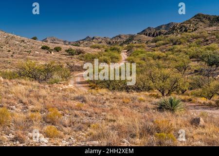 FR 4130 strada per il lago Arivaca, Atascosa Mountains, Coronado National Forest, Arizona, Stati Uniti Foto Stock