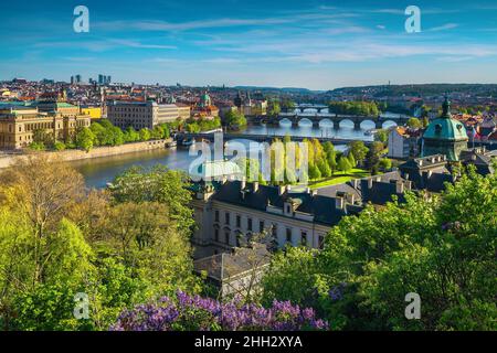 Fantastica vista dalla collina con il paesaggio urbano di Praga e bellissimi ponti sul fiume Moldava, Praga, Repubblica Ceca, Europa Foto Stock