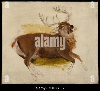 Morente Pag ca. 1830 Sir Edwin Henry Landseer la lingua lillante dello stag e la pelliccia rossa opaca sul ventre indicano che l'animale è ferito fatalmente. Il suo sguardo accanito allo spettatore amplifica i pathos del momento. Le esperienze di Landseer con i cervi che si aggirano o cacciano a piedi nelle Highlands scozzesi gli hanno fornito una prospettiva intima sulla vita e la morte dei cervi selvatici, E una fonte quasi inesauribile di ispirazione per la sua arte, dagli studi su piccola scala ai dipinti ambiziosi, i poteri di osservazione e di sfumatura emotiva di Landseer lo hanno reso il più grande praticante di un Foto Stock