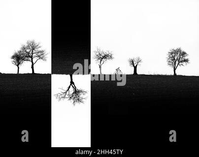 Realtà invertita - ciclista e linea dell'albero senza foglie sul campo. Foto Stock