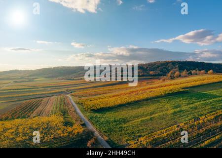 Vigneti colorati campi dall'alto durante il tramonto in autunno. Vista di Enzersfeld nella regione austriaca di Weinviertel. Foto Stock