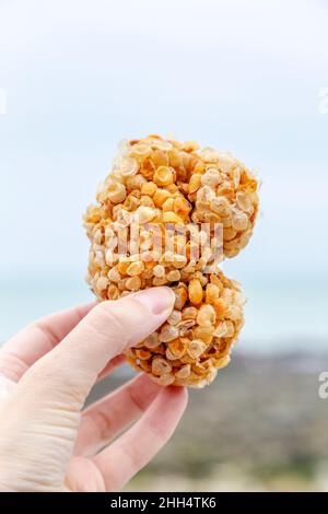 Mano che tiene una palla di mare (casse di uova vuote del Whelk comune) alla spiaggia di Beachy Head, Eastbourne, Regno Unito Foto Stock