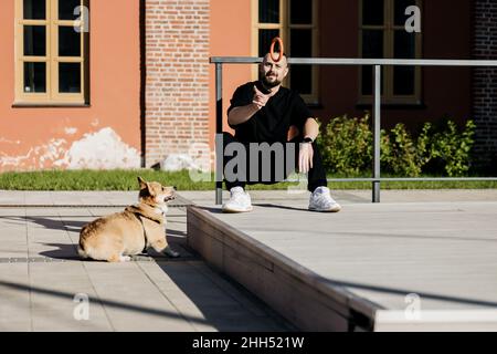 Il gallese corgi Pembroke suona con un uomo all'aperto in estate Foto Stock