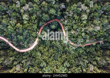 Vista aerea del drone della lussureggiante foresta con strada tortuosa nella foresta pluviale tropicale al parco nazionale Foto Stock