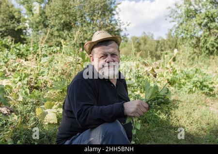 Ritratto del comune agricoltore maggiore ucraino seduto sul bordo del campo, tenendo un mazzo di erbe e sorridendo Foto Stock