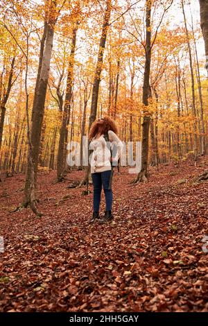 Giovane donna che guarda gli alberi in piedi nella foresta d'autunno Foto Stock