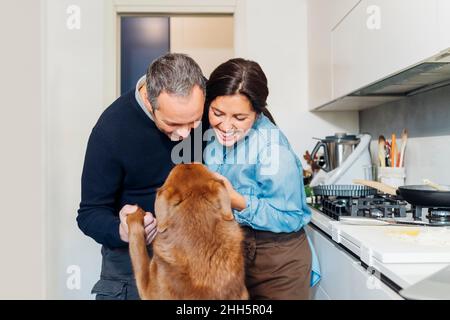 Coppia felice divertirsi con il cane in cucina a casa Foto Stock