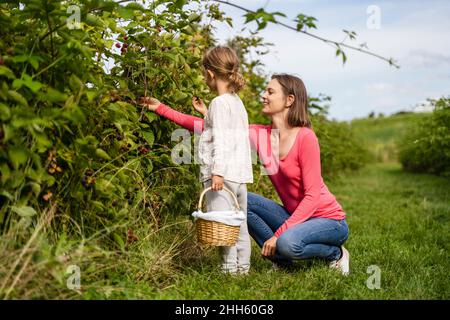 Donna e ragazza che raccolgono bacche insieme nel frutteto Foto Stock