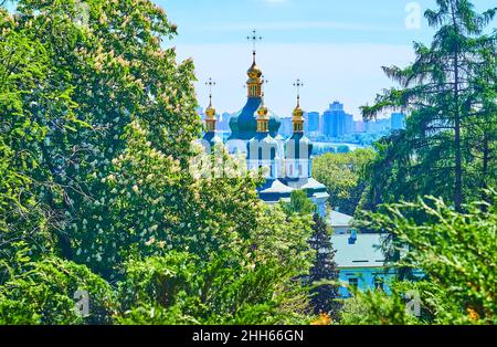 Il verde lussureggiante e fiorente albero di cavallo-castagno del Giardino Botanico di Kyiv di fronte alle cupole medievali dorate-verdi della Cattedrale di San Giorgio di Vydu Foto Stock