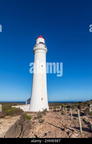 Australia, Victoria, faro di Cape Nelson in piedi contro il cielo blu chiaro Foto Stock