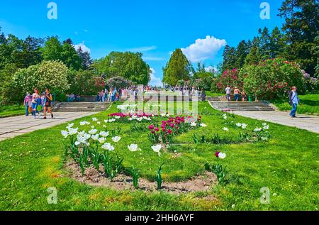 KIEV, UCRAINA - 16 MAGGIO 2021: I aiuole con tulipani in fiore tra i vicoli nel Giardino Botanico di Hryshko, il 16 maggio a Kiev, Ucraina Foto Stock