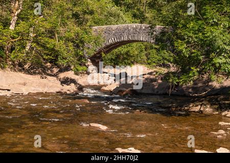 Ponte sul fiume Afon Elan, Elan Valley, Powys, Galles Foto Stock