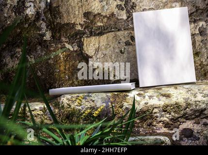 Modello di libro in bianco sulle antiche rovine, taccuino mockup, mockup sulla natura sfondo 01 Foto Stock