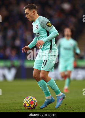 Leicester, Regno Unito. 23rd Jan 2022. Leandro Trossard di Brighton durante la partita della Premier League al King Power Stadium di Leicester. Il credito dell'immagine dovrebbe leggere: Darren Staples/Sportimage Credit: Sportimage/Alamy Live News Foto Stock