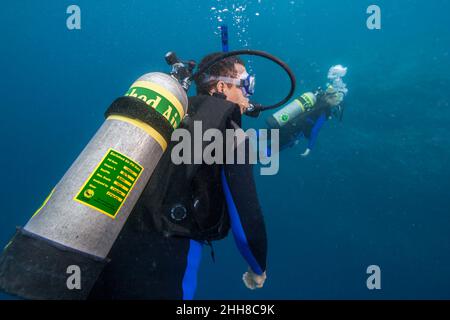 Subacquei (MR) con taniche di nitrox e adesivo che mostra la data di riempimento, la percentuale di ossigeno, la pressione e la profondità massima per la miscela , Palau, Micronesia. Foto Stock