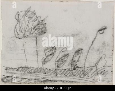 Sette alberi ca. 1900–1902 Paula Modersohn-Becker tedesco questo disegno spontaneo non è tipico della vita contadina stolida raffigurata da Modersohn-Becker. Come giovane donna, Becker ha frequentato la stessa scuola di disegno di Berlino come Käthe Kollwitz. Becker sposò il pittore otto Modersohn, e in seguito sperò di lasciare lui, e la Germania, per Parigi. Ma lei morì lì, tre settimane dopo la nascita, non ancora trent'anni. Sette alberi. Paula Modersohn-Becker (tedesco, Dresda 1876–1907 Worpswede). CA. 1900–1902. Carbone su carta. Disegni Foto Stock