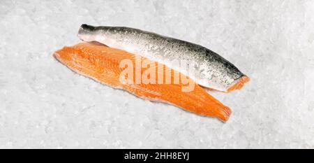 Salmone crudo filetti di pesce su Icei solati su sfondo bianco Foto Stock