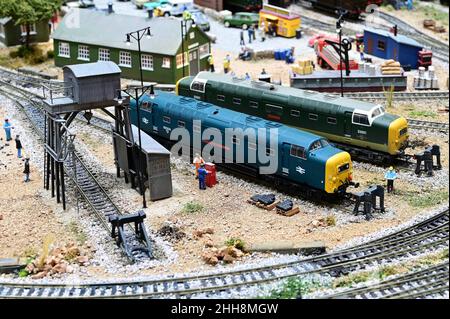 Due locomotive di classe 55 in un cantiere Foto Stock