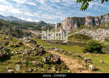 Lago di Ercina, uno dei laghi di Covadonga, nel Parco Nazionale Picos de Europa (Asturie, Spagna) Foto Stock