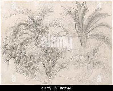 Palms 1855 William Trost Richards American questo studio, probabilmente eseguito nel giardino botanico di Palazzo Pitti a Firenze, anticipa da diversi anni le composizioni conservatorie e di bower che Richards fece una specialità dopo essere caduto sotto l'ingiuria di John Ruskin e dei Pre-Raphaeliti. I books di Richards del suo primo viaggio all'estero, nel 1855, sono pieni di ampi paesaggi, architettura e statuario, ma al Palazzo Pitti abitò per diversi giorni su palme, foglie di banana, filodendro e altre specie tropicali. La loro bellezza intricata da sola può bene avere stimolato t Foto Stock