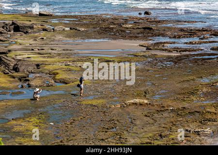 BALI, INDONESIA - 1 MARZO 2014: I turisti scattano foto sul platoue roccioso della spiaggia Foto Stock