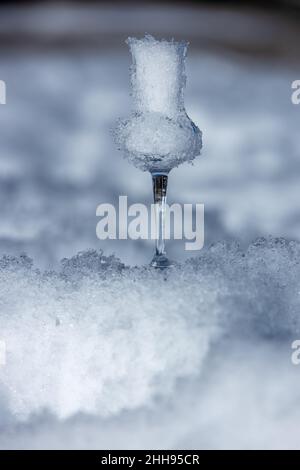 Bokeh immagine di un bicchiere di Grappa aromatizzata (schnapps) pieno di neve a Cortina d'Ampezzo, Dolomiti, Italia Foto Stock