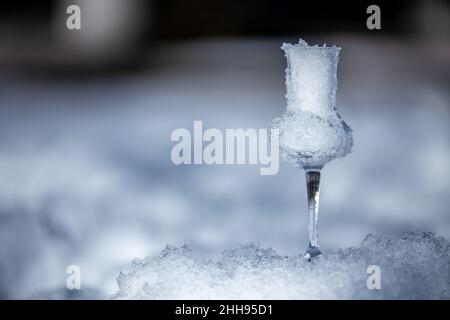 Bokeh immagine di un bicchiere di Grappa aromatizzata (schnapps) pieno di neve a Cortina d'Ampezzo, Dolomiti, Italia Foto Stock