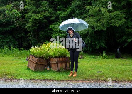 Donna matura che tiene trasparente ombrello in mezzo alla natura in una giornata piovosa Foto Stock