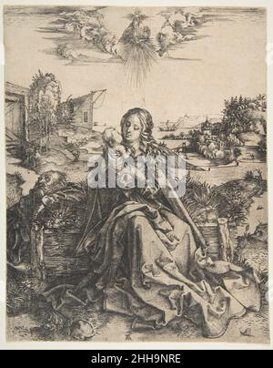 Sacra Famiglia con una Dragonfly ca. 1495 Albrecht Dürer Tedesco. Sacra Famiglia con una Dragonfly 391032 Foto Stock