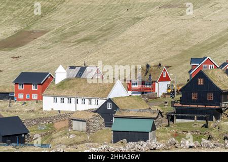 I tetti sono pigri in una giornata di sole a Mykines. Foto Stock