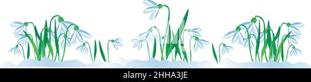 Illustrazione vettoriale di primavera per qualsiasi cartolina, fioriture di neve per qualsiasi disegno. Le gocce di neve sono fiorite, la primavera è giunta. Happy National Women's D. Illustrazione Vettoriale